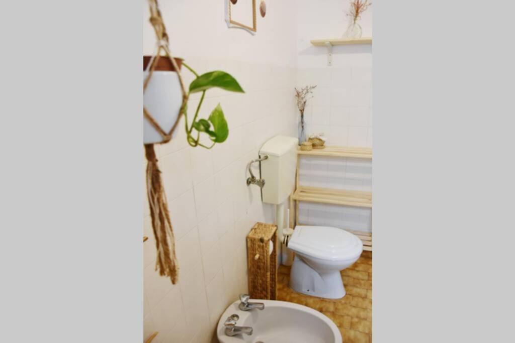 شقة Bamboo House ألخيزور المظهر الخارجي الصورة